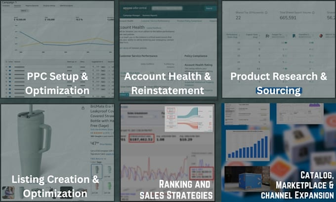 be your expert amazon fba consultant and account manager