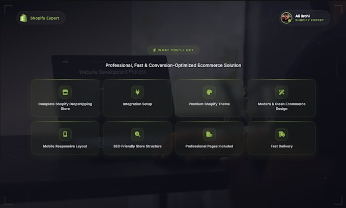 build a premium shopify dropshipping store