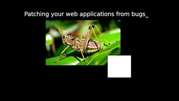 fix bugs and debug issues in your backend web application