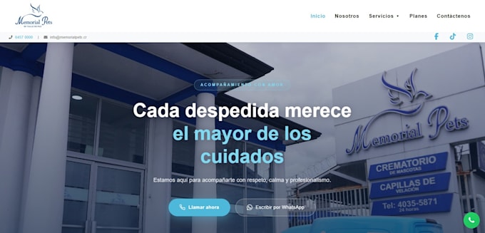 build a professional website for your business