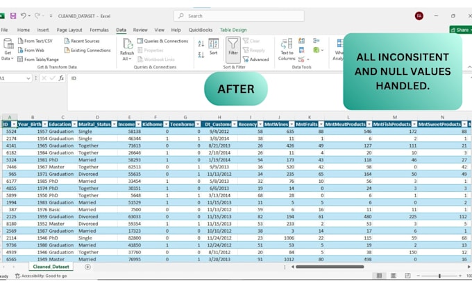 excel data cleaning at your service