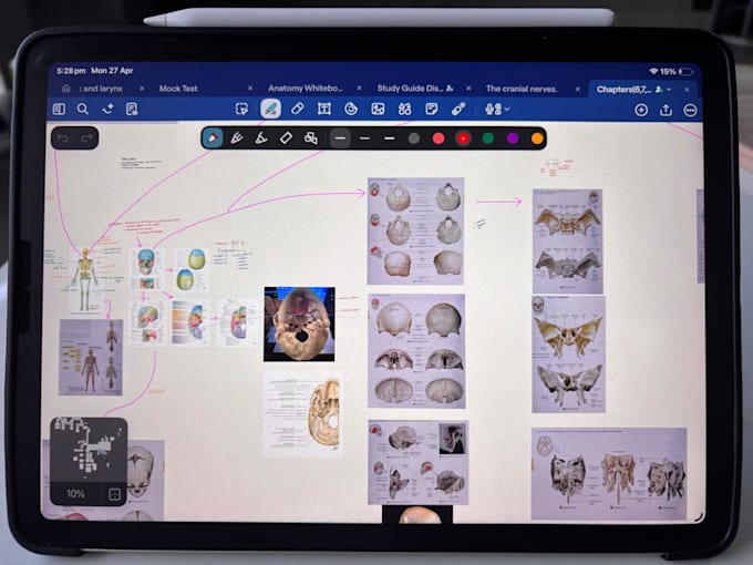 explain anatomy in a simplified manner