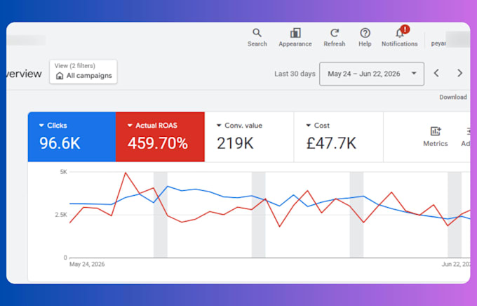 setup and optimize google ads PPC, pmax campaigns with fixed conversion tracking