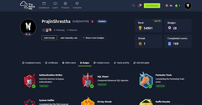 perform  website security audit and vulnerability assessment