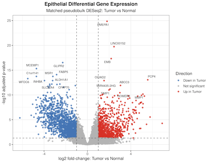 analyze rna seq GEO tcga data and create figures