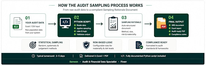 build custom audit sampling tools in excel and python