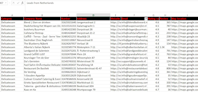 do google maps scrapping for you to get business leads