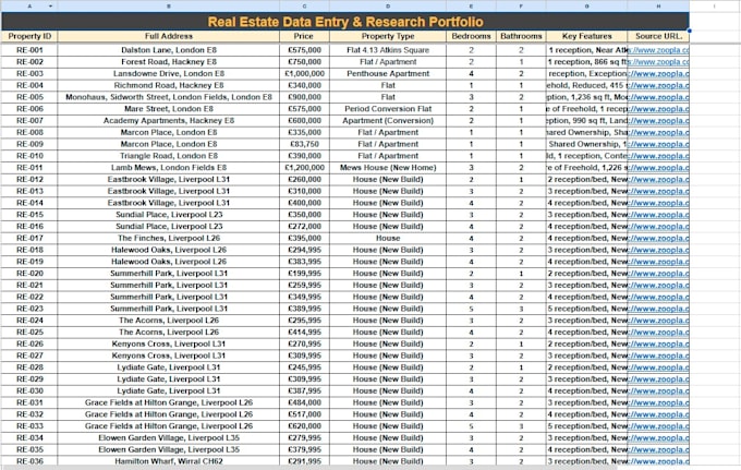 do data entry and excel data cleanup