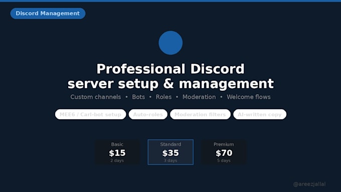 create a fully setup discord server with bots and roles