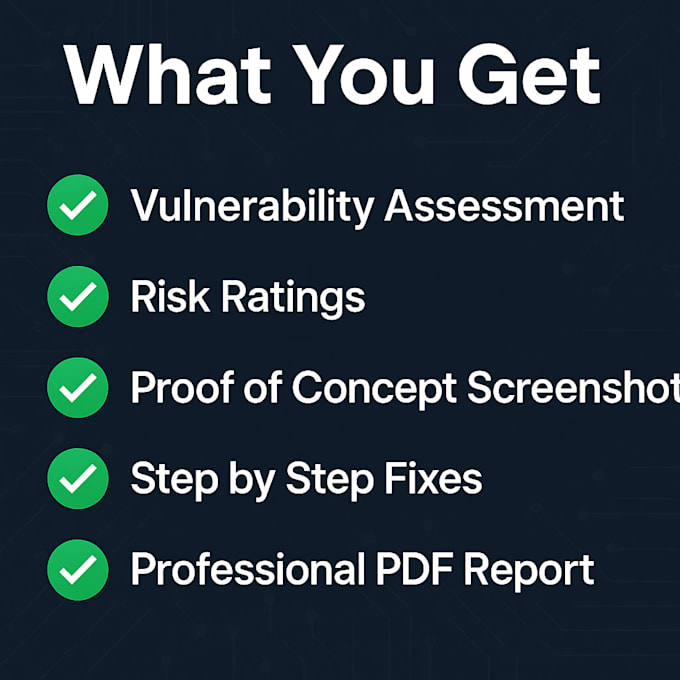perform professional web application penetration testing and owasp top 10