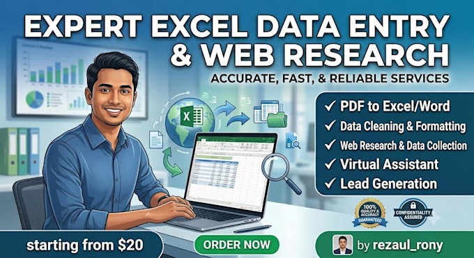 do expert excel data entry and web research
