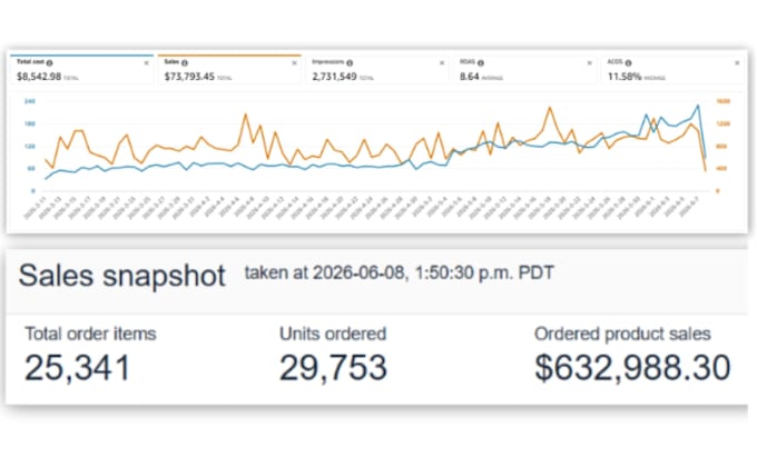 scale amazon fba PPC campaign and optimization PPC ads