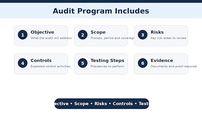 prepare internal audit procedures and audit work programs