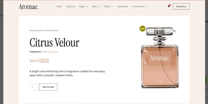 basic website, simple wordpress website, startup website, make website