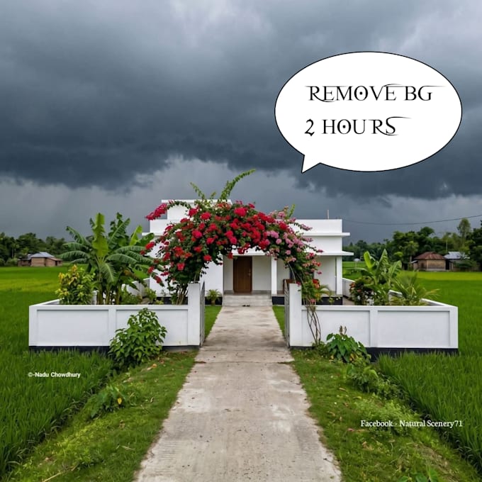 remove background from any image in 2 hours