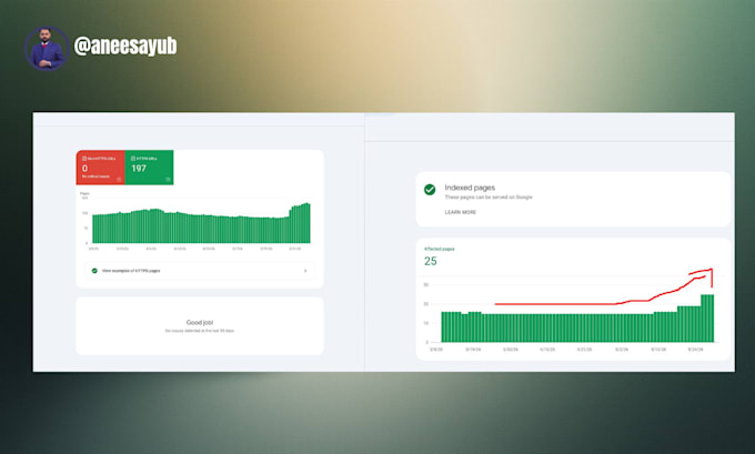 audit website indexing google search console technical SEO expert