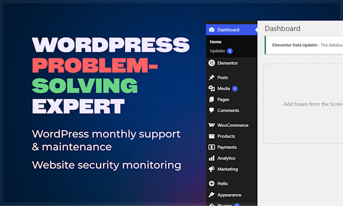 fix wordpress bugs, optimize speed, handle monthly site maintenance