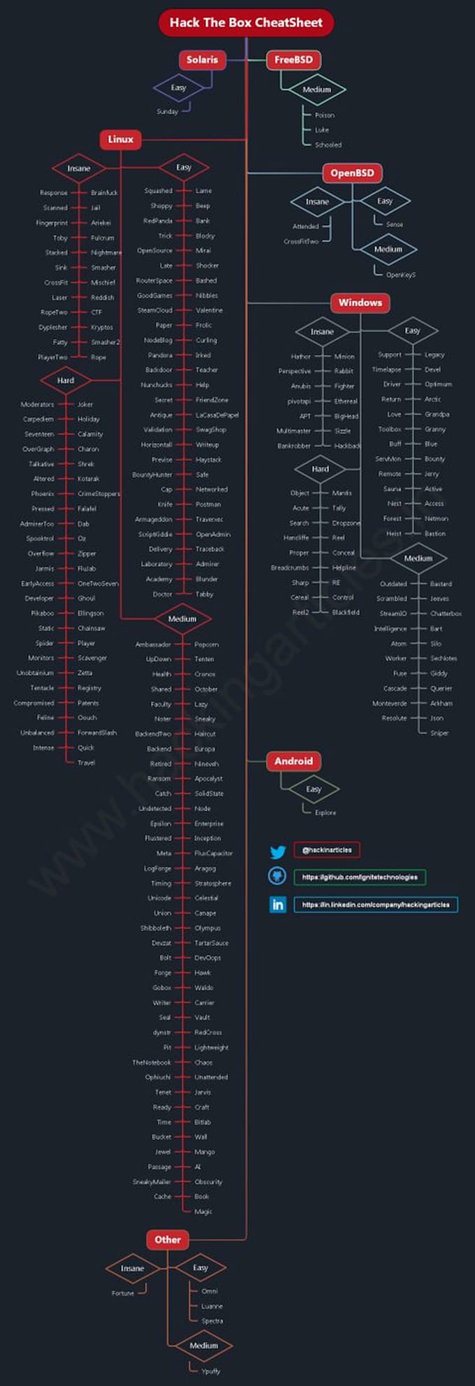 professional web development and custom programming codes