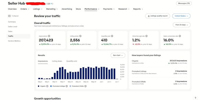 do SEO optimized ebay listings, product descriptions and ebay store management