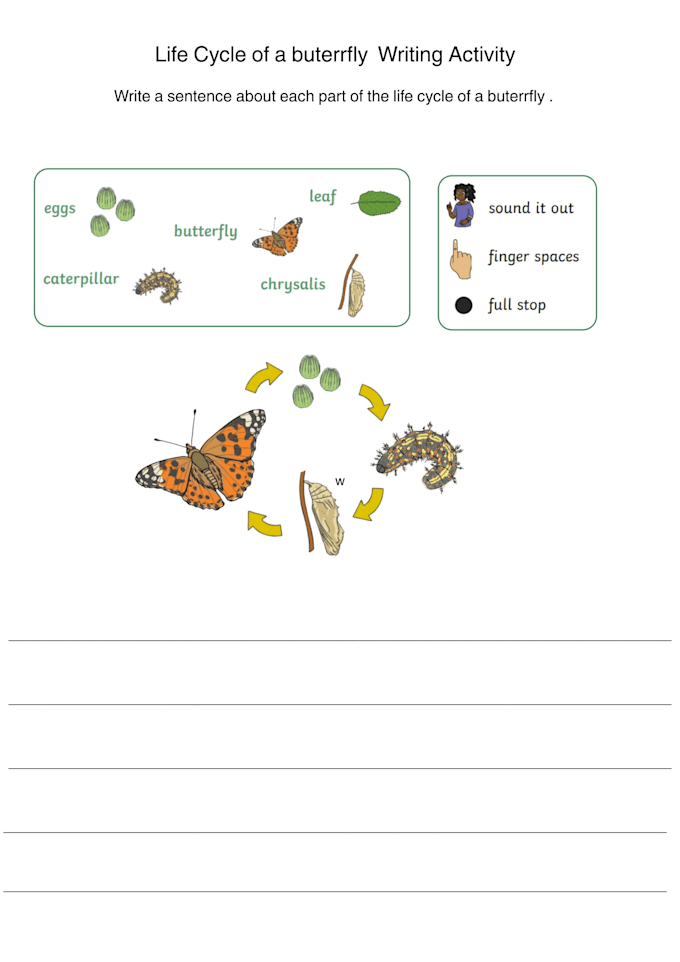 design interactive science worksheets for primary students