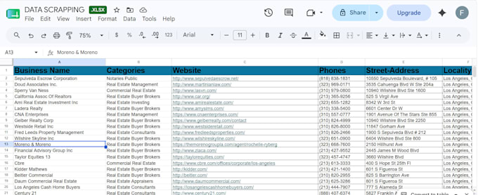 do excel data entry, web scrapping, and targeted lead generation