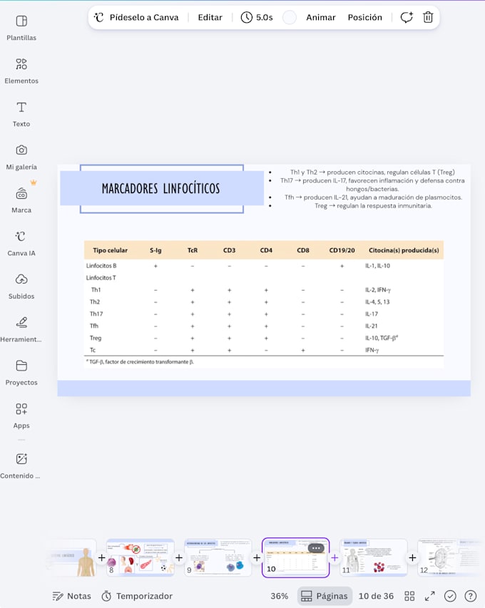 create canva presentation for school or university