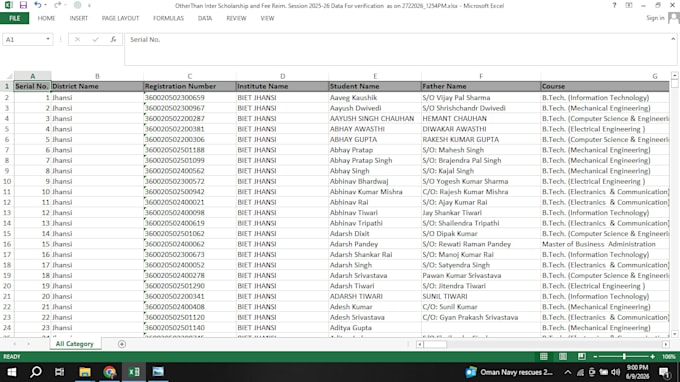 clean, sort, filter and organize your excel data professionally
