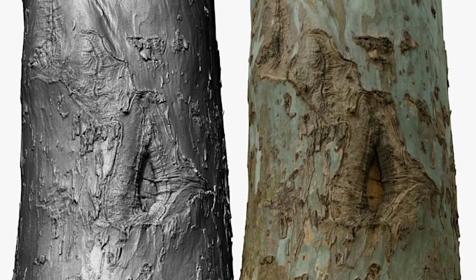 create realistic 3d plants and trees in speedtree for games