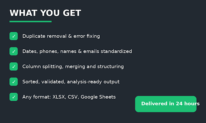 clean, format and organize your excel or CSV data within 24 hours