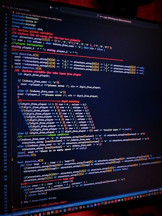 provide expert IT support and software development services