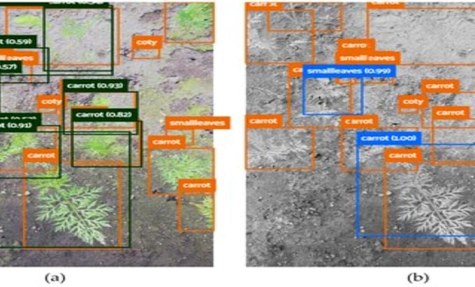 build a custom yolo or tensorflow deep learning model for object detection