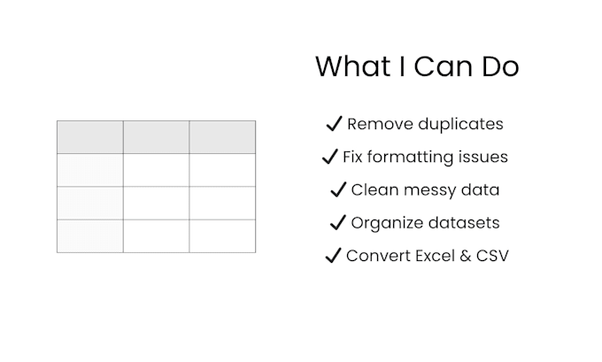clean, organize and format messy excel or CSV data professionally