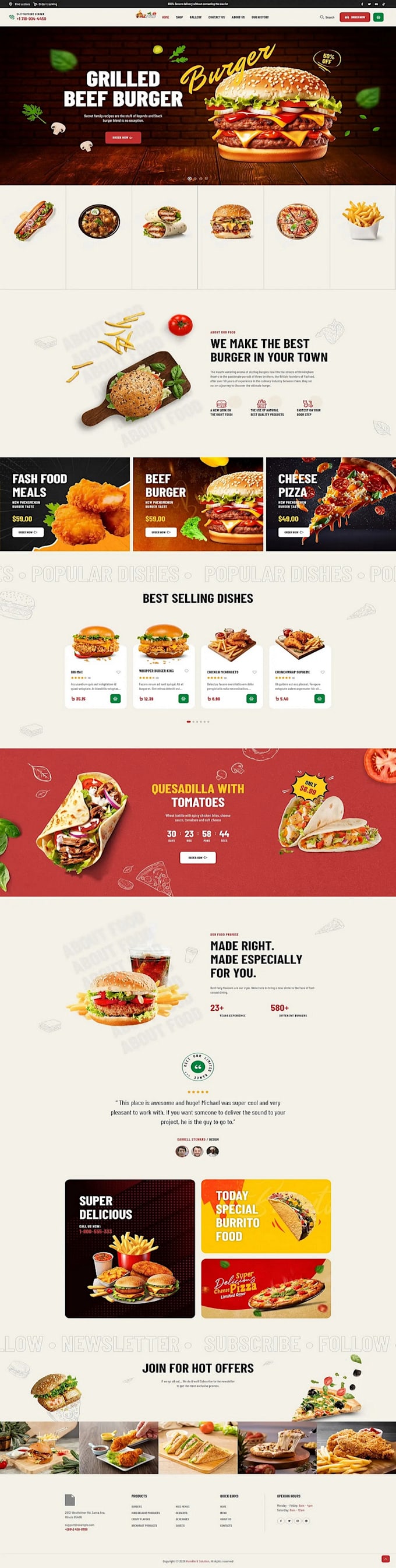 design redesign wordpress website, website builder and website development