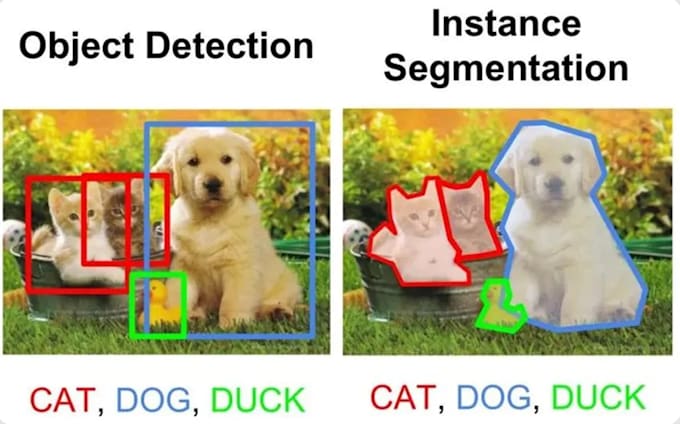 do professional data annotation, bounding boxes, and segmentation masks