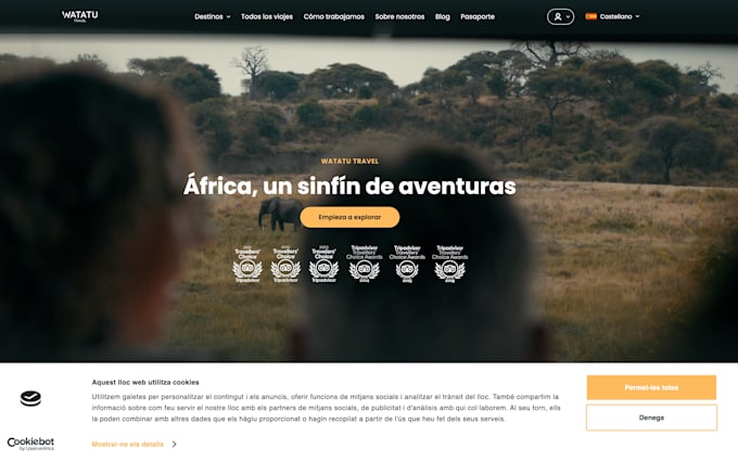 develop native and web apps using bubble