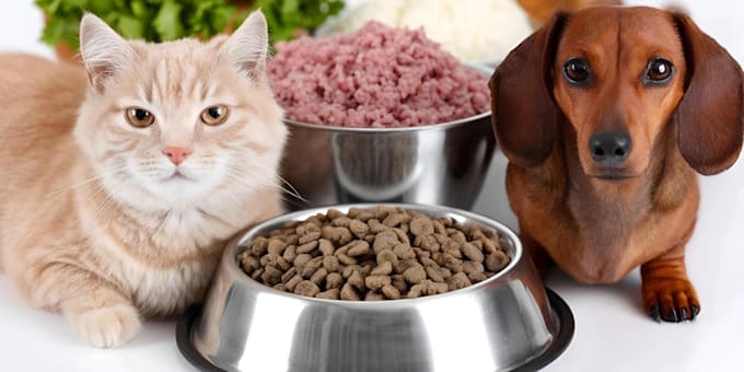 formulate custom pet food supplements and nutrition recipes