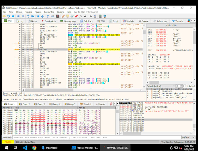 perform advanced malware analysis and reverse engineering with detail reporting