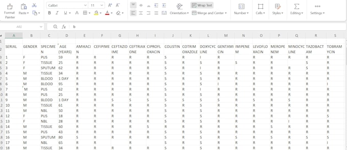 do medical research data entry into excel