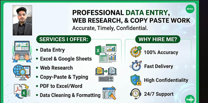 do expert excel data entry, copy paste and web research
