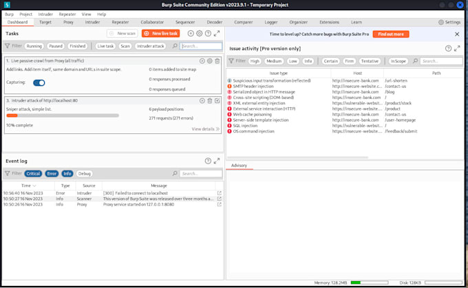 cybersecurity penetration testing for costume websites