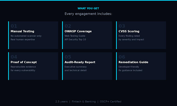 do a professional web application and API penetration test