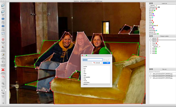 do professional data annotation