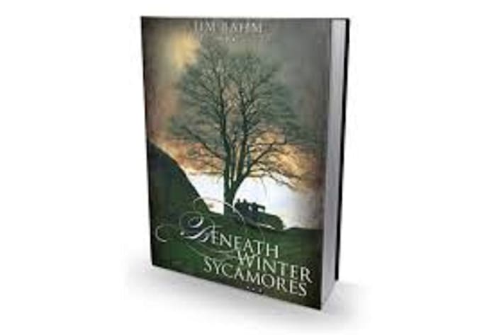 create the cover for your book and ebook