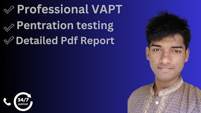 do professional vapt and pentest on website