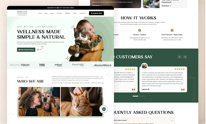 build a modern wordpress website for your business SEO optimized