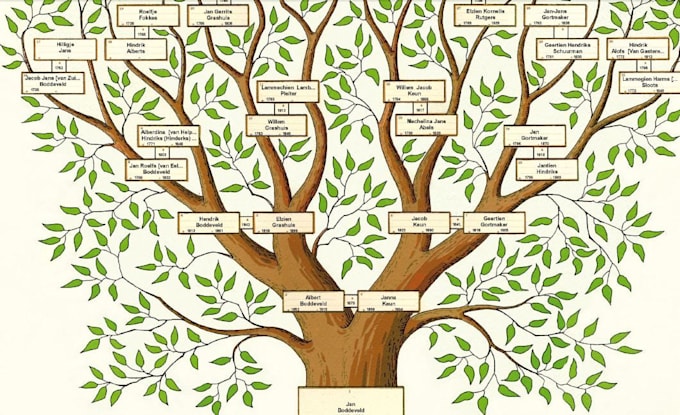 create a professional custom family tree design