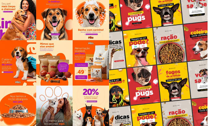 build profitable pet shopify store dog cat dropshipping website pet suppliers
