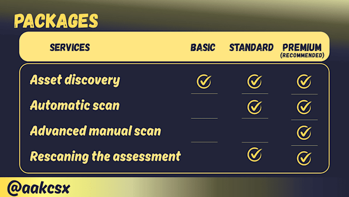 perform a pentest and vulnerability assessment