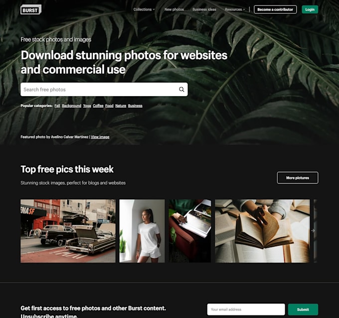 develop ai website, web designer