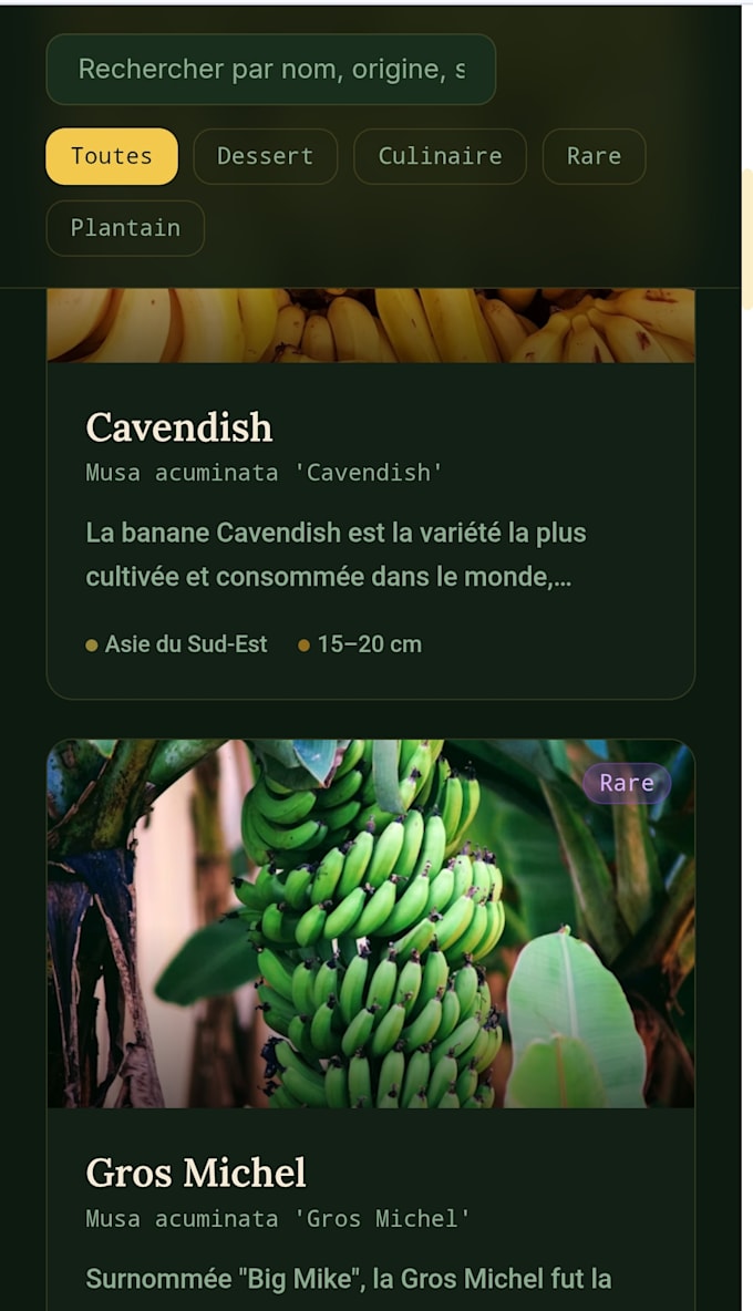 create a beautiful web site